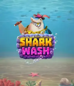 Погрузитесь в уникальным подводным приключением с игрой Shark Wash от Relax Gaming, представляющим яркую визуализацию подводных обитателей в забавной обстановке автомойки. Присоединитесь к развлечению, когда акулы и другие морские животные испытывают пузырьковой чисткой, с развлекательные механики вроде бесплатных вращений, вайлдов и специальных бонусов. Идеально подходит для геймеров, кто ищет легкомысленного игрового опыта с уникальной тематикой.